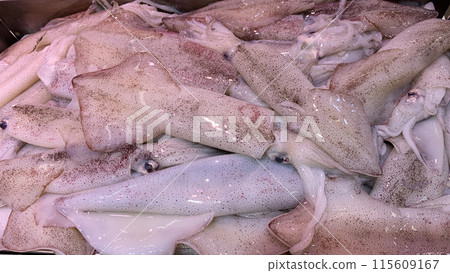 Top view of fresh squids display in market. Seafood concept. 115609167