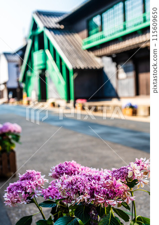 Nagasaki Dejima, former Dutch trading post, Kapitan room, exterior and hydrangeas [Nagasaki City] 115609650