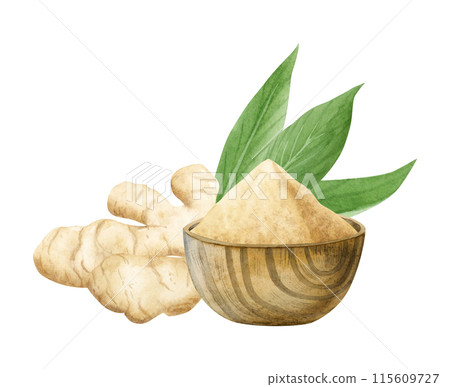 Ginger roots and pile of ground garlic powder in wooden bowl watercolor illustration isolated on white background. Dry and raw spices with leaves for cooking, seasoning food and healthy dishes 115609727