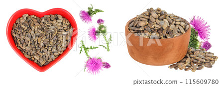 Seeds of a milk thistle or Silybum marianum, Scotch Thistle, Marian thistle in ceramic and wooden bowl with flower isolated on white background. Seeds of a milk thistle or Silybum marianum, Scotch Thistle, Marian thistle in ceramic and wooden bowl with flower isolated on white background. 115609780
