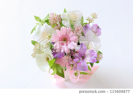Arrangement of gentle color Arrangement of gentle color 115609877