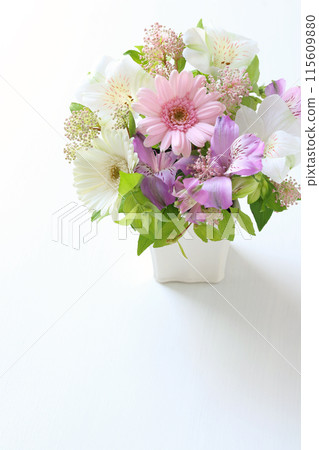 柔和色彩的安排 柔和色彩的安排 115609880