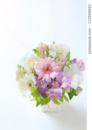 柔和色彩的安排 115609883