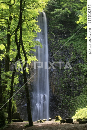 玉垂瀑布/玉垂瀑布（山形縣坂田市） 115610283