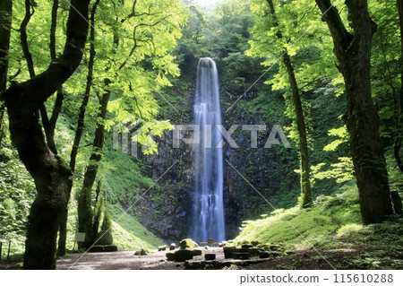 Tamasudare Falls (Sakata City, Yamagata Prefecture) 115610288