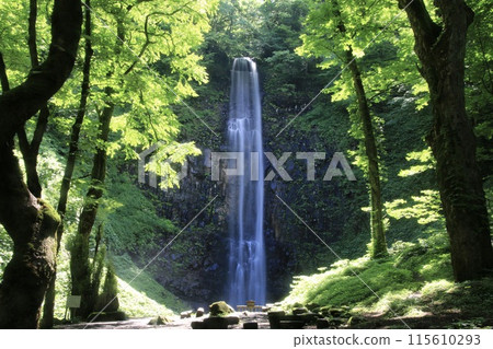 Tamasudare Falls (Sakata City, Yamagata Prefecture) Tamasudare Falls (Sakata City, Yamagata Prefecture) 115610293