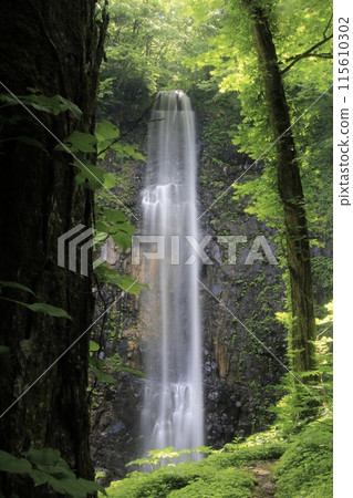 Tamasudare Falls (Sakata City, Yamagata Prefecture) Tamasudare Falls (Sakata City, Yamagata Prefecture) 115610302