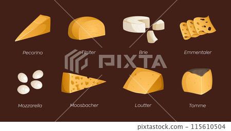 Set of different types of cheeses. Vector illustration with text. Ideal for posters and banner, menu of cafe and shops Set of different types of cheeses. Vector illustration with text. Ideal for posters and banner, menu of cafe and shops 115610504