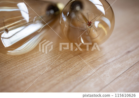 edison bulb light 115610626