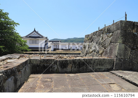 Tsuyama Castle castle tower 115610794