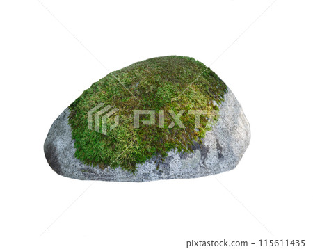 stone covered with moss isolated on white background 115611435