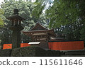 Green maples and Mikage Shrine 115611646