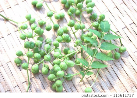 漏勺中的新鮮日本胡椒葉和水果 115611737