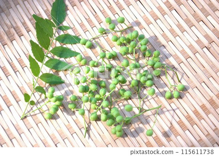 Fresh Japanese pepper leaves and berries on a colander Fresh Japanese pepper leaves and berries on a colander 115611738