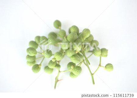 Sankyo fruits on white background 115611739