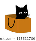 紙袋裡的貓的插圖 115611780