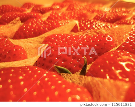 大草莓鋪在化妝盒中，側角 115611881