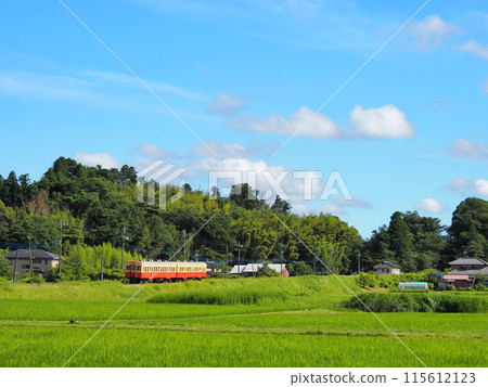 Kominato鐵路在初夏 115612123