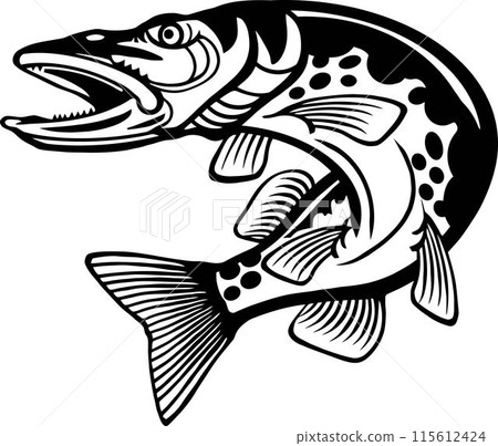 Pike - American Fishes - Logo Fish Pike - American Fishes - Logo Fish 115612424