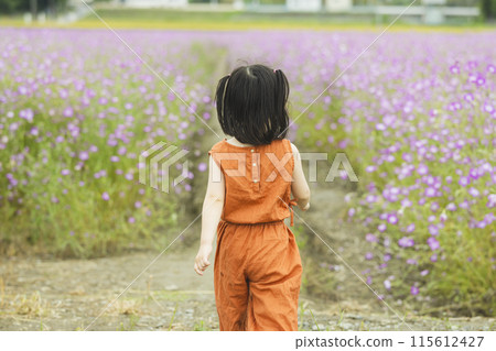 可愛的女孩走在花田裡 115612427