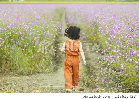可愛的女孩走在花田裡 115612428