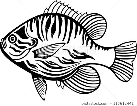 Lepomis Gibbosus - American Fishes - Logo Fish Lepomis Gibbosus - American Fishes - Logo Fish 115612441