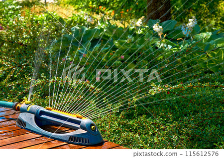 Watering. Irrigation system. Sprinkler watering greenery on a hot day in park  115612576