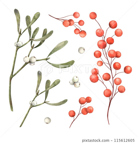 Collection of Christmas botanical elements, mistletoe and red berries. Watercolor isolated elements in realistic style. Suitable for Christmas cards, seasonal decorations and design projects 115612605