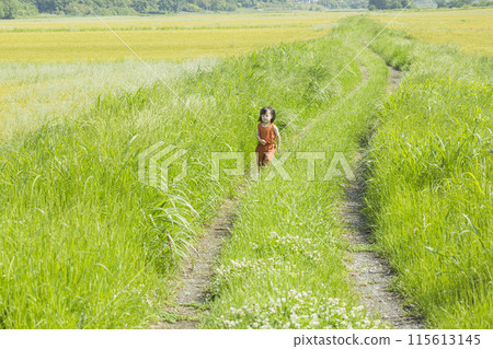 Cute girl running on the grass Cute girl running on the grass 115613145