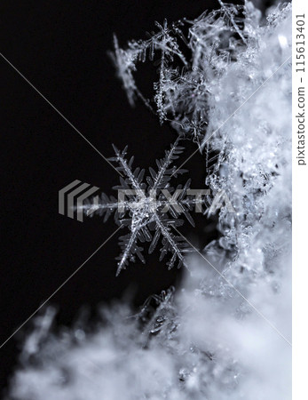 natural snowflakes on snow, winter natural snowflakes on snow, winter 115613401