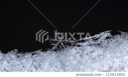natural snowflakes on snow, winter natural snowflakes on snow, winter 115613403