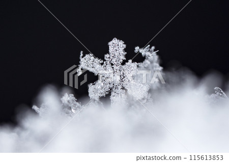 photo real snowflakes during a snowfall, under natural conditions at low temperature photo real snowflakes during a snowfall, under natural conditions at low temperature 115613853