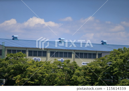 工廠屋頂圖像 工廠屋頂圖像 115614339