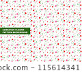 Carnation Flower Illustration Design-Patterned Background 115614341