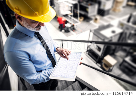 Portrait of project manager standing in modern industrial factory, holding tablet. Manufacturing facility with robotics, robotic arms and automation. Storing products and materials in warehouse. 115614714