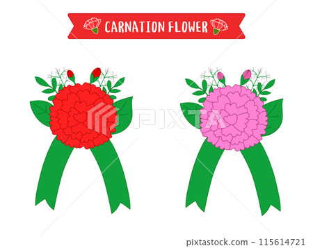 Carnation Flower Illustration Design 115614721