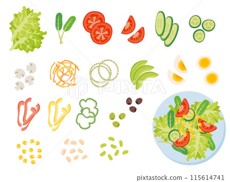 一套新鮮沙拉配料和成品沙拉 115614741