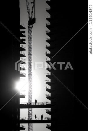 Crane builds a building, construction site, silhouette photo 115614843