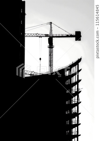 Crane builds a building, construction site, silhouette photo 115614845