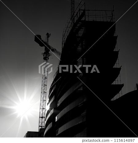 Crane builds a building, construction site, silhouette photo Crane builds a building, construction site, silhouette photo 115614897