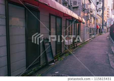 橫濱市小金町站週邊 115615431