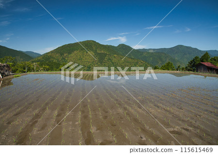 Hatenashi Village (Ohechi) [Totsukawa Village, Nara Prefecture] 115615469