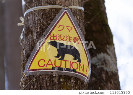 熊請注意 115615590