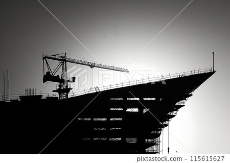 Crane builds a building, construction site, silhouette photo Crane builds a building, construction site, silhouette photo 115615627