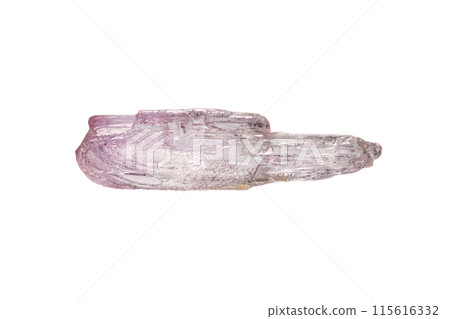 Pink kunzite on white background 115616332