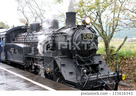 現存唯一的C108型車輛。大井川鐵道的商業運營 115616343