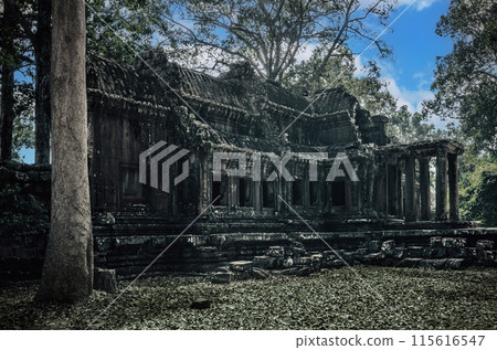 Temple of Angkor Wat in Cambodia. Khmer civilization. Siem Reap. Temple of Angkor Wat in Cambodia. Khmer civilization. Siem Reap. 115616547