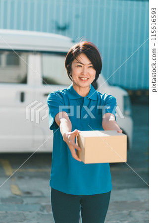 female, females, woman 115616593