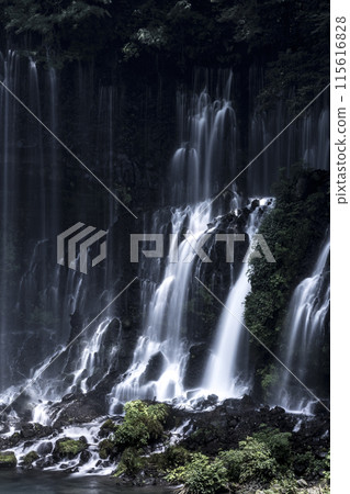 Shiraito Falls, flowing like silk 115616828