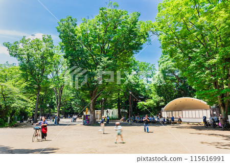 吉祥寺假日井之頭公園 115616991